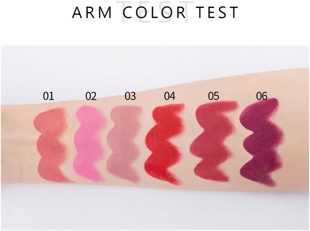Matte Lipstick Set 6 Colors Velvet Smooth Long Lasting Smudge Proof Lipstick Waterproof Non-Stick Cup Nude Lip Makeup Set with Gift Box