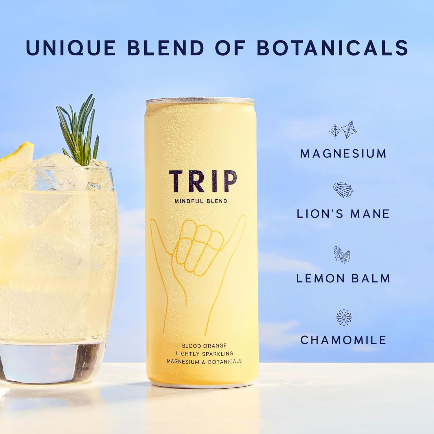TRIP Mixed Pack Sparkling Drink with 120MG calming Magnesium + Lion’s Mane + Chamomile + Lemon Balm. Low Calorie and Vegan (Pack of 12 x 250ml)